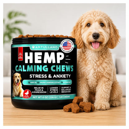 Hemp Calming Chews for Dogs with Turmeric