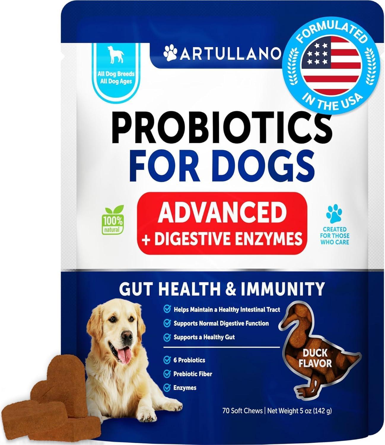 Dog Probiotic Chews for Gut Health