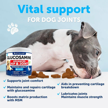 Glucosamine Dog Joint Supplement with Chondroitin
