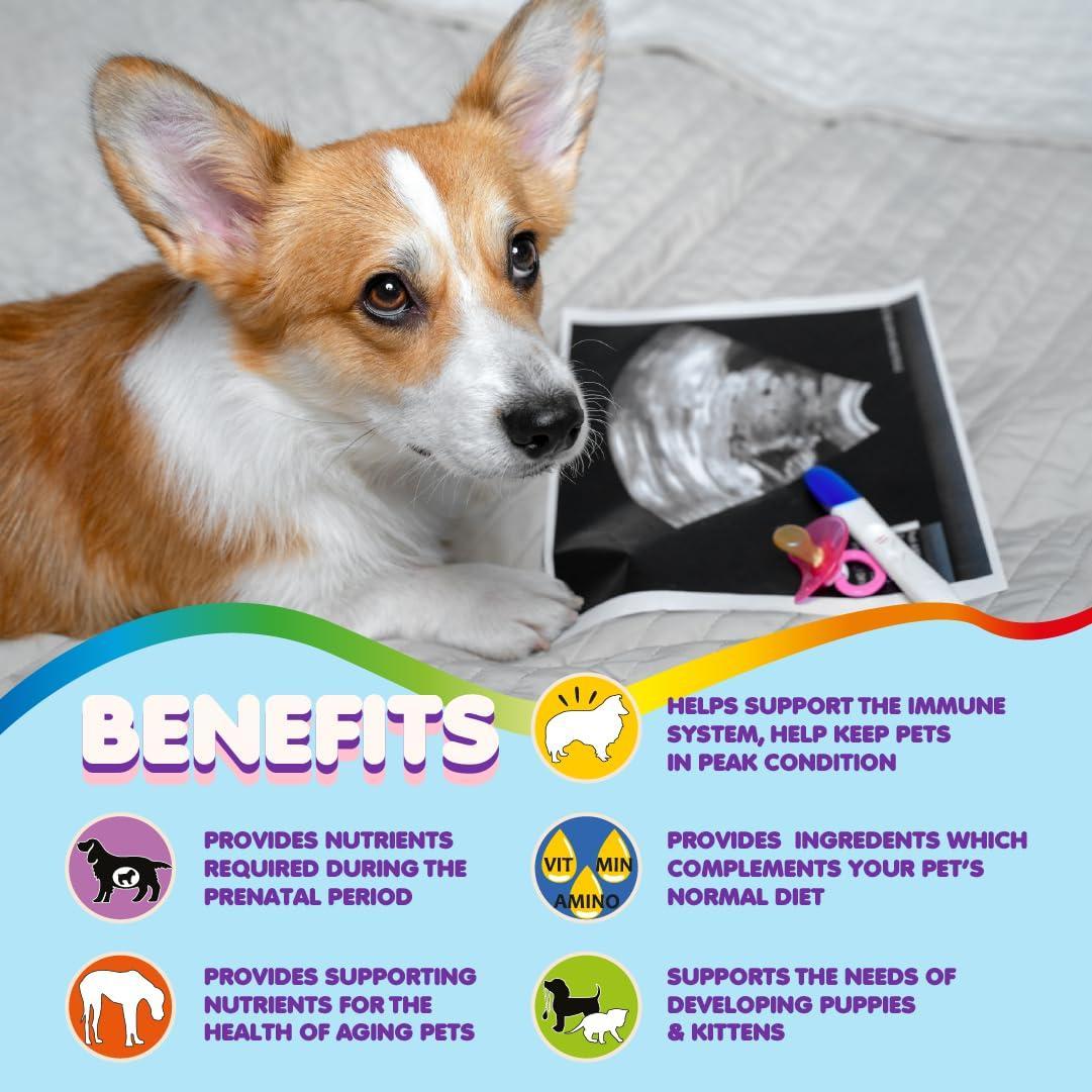 Prenatal Dog Vitamins – Complete Multivitamin for Pets