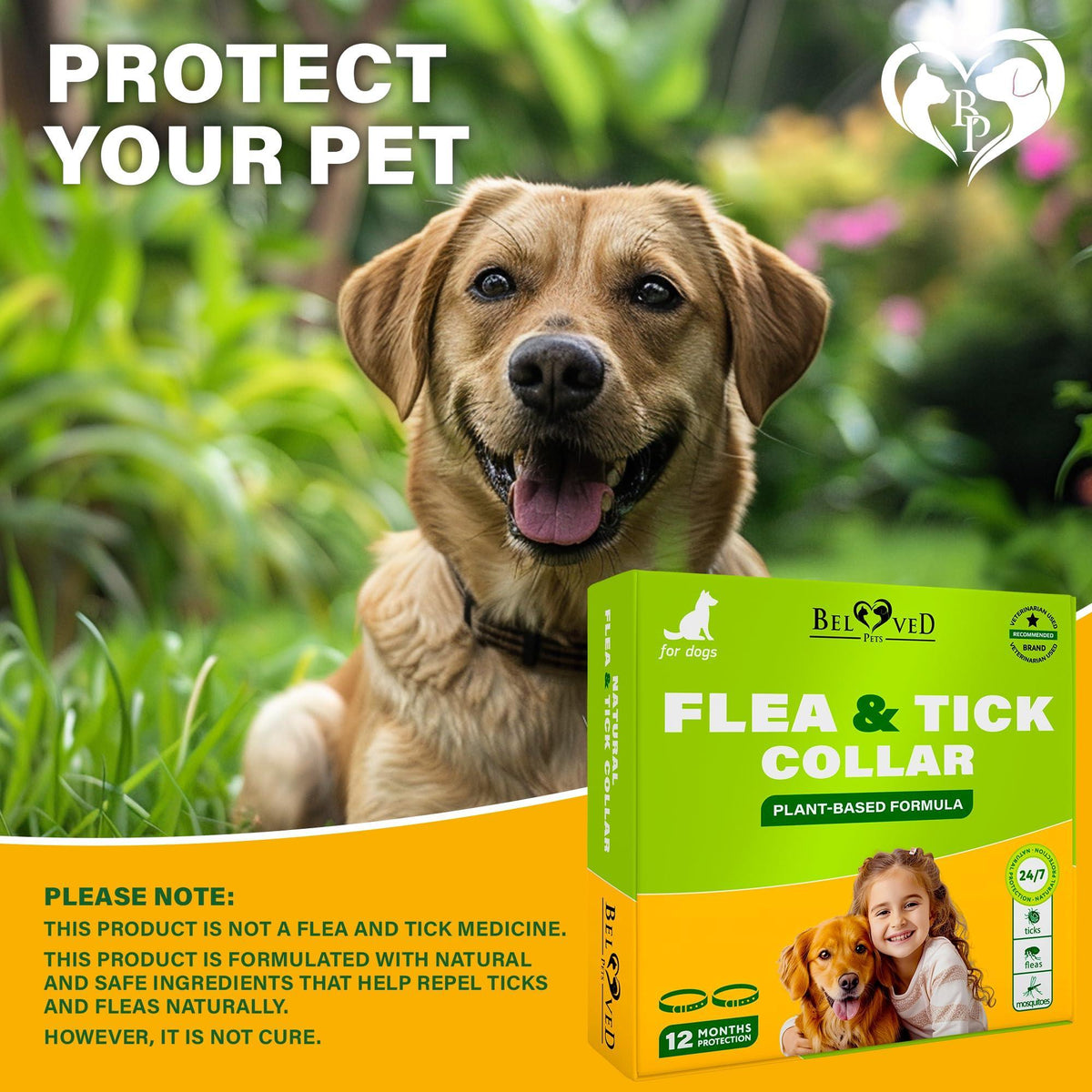 Natural Flea & Tick Collar for Dogs | 6-Month Protection