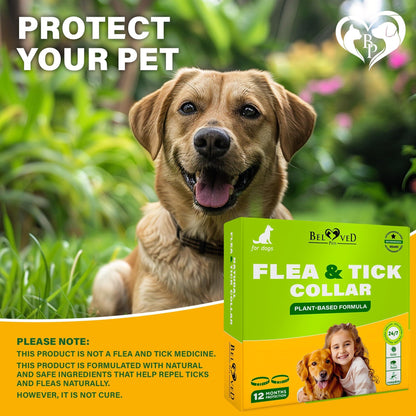 Natural Flea & Tick Collar for Dogs | 6-Month Protection