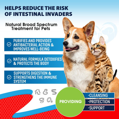 Cats & Dogs Herbal Dewormer Drops – USA Made