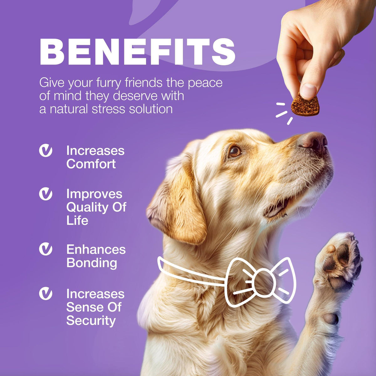 Dog Vitamins 15-in-1 Multivitamin Chews with MSM
