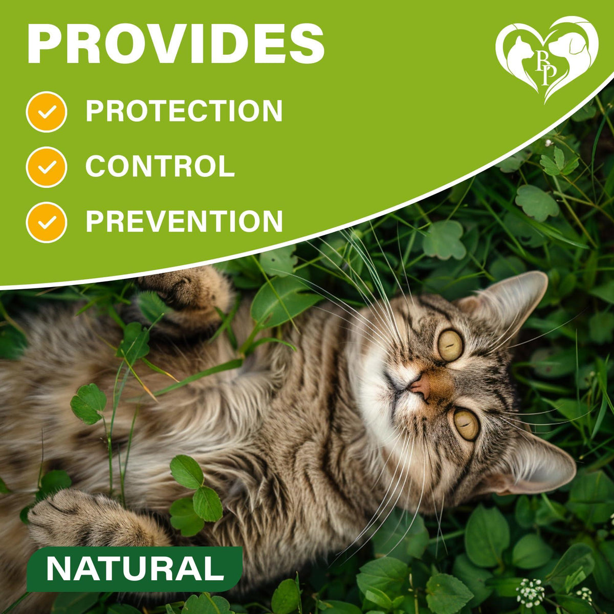 Natural Cat Flea Tick Collar 6-Month Protection