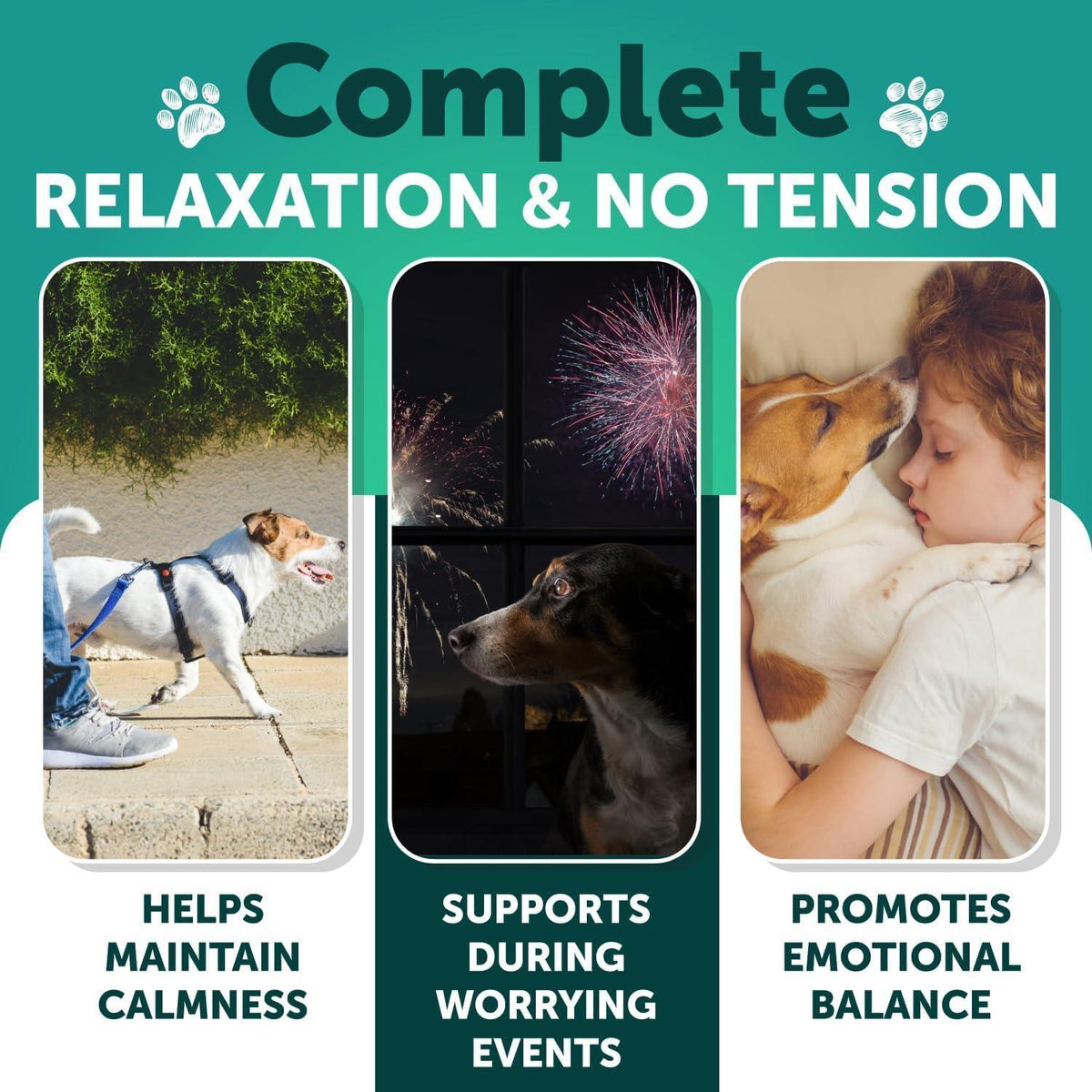 Hemp Calming Chews for Dogs with Turmeric
