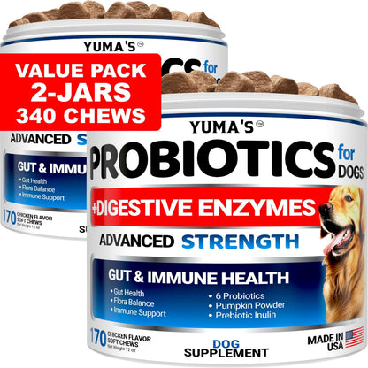 Dog Probiotic Chews with Digestive Enzymes