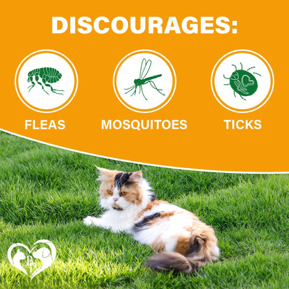 Flea and Tick Prevention Chews for Dog and Cats
