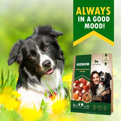 Kabobs Duck & Chicken Dog Treats – Grain-Free Chews