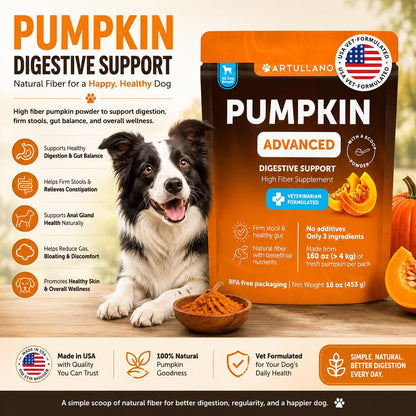 Pumpkin Powder for Dogs Digestive & Gut Support