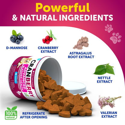 (2 Pack) Dog Urinary Tract Cranberry Chews