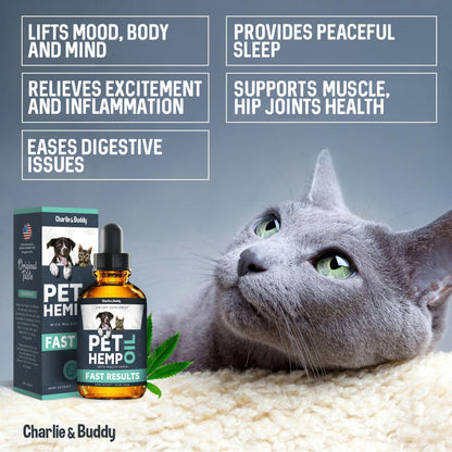 Hemp Oil for Dogs & Cats – Calming Support