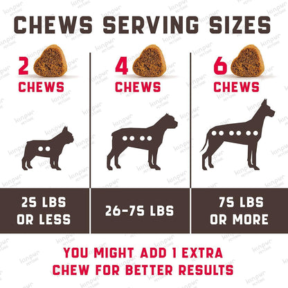Dog UTI Treatment Chews with Cranberry for Urinary Health