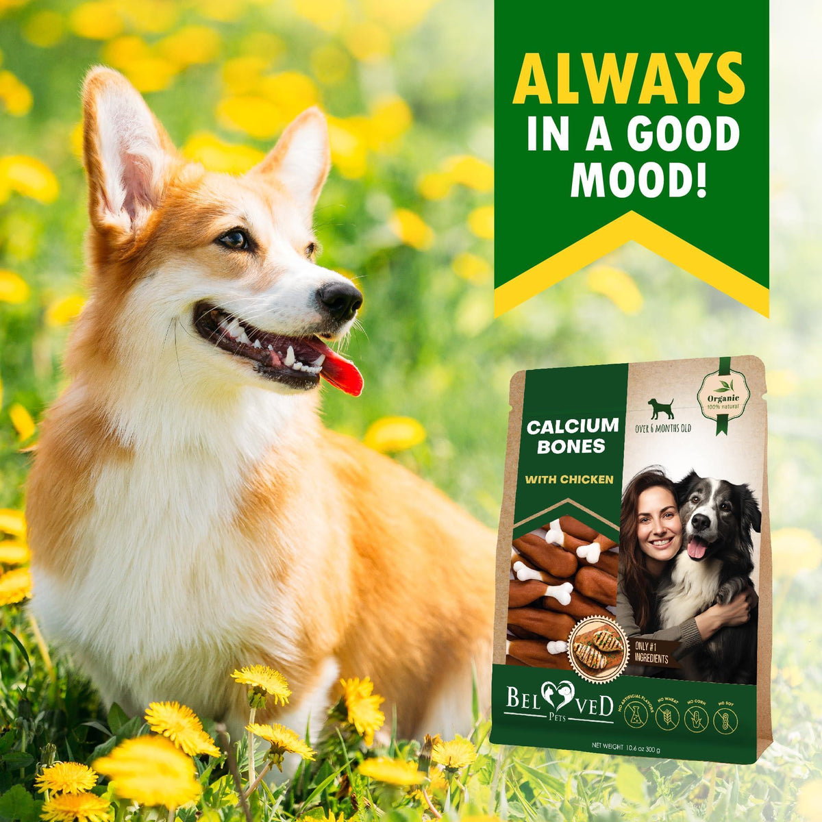 Chicken Wrapped Dog Calcium Bones Rawhide Free Chews