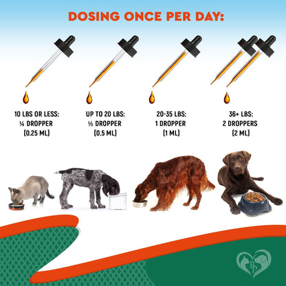 Natural Herbal Antibiotics for Cats & Dogs Support