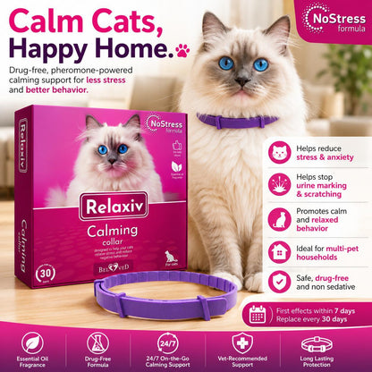 Cat Calming Collar for Anxiety & Stress Relief