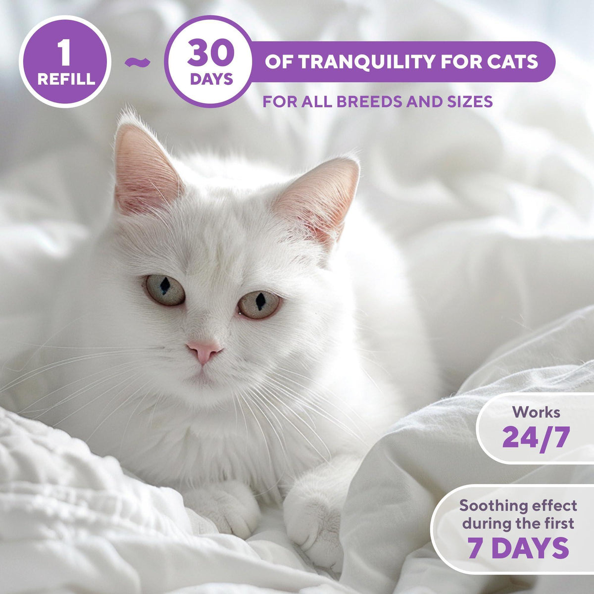 Cat Calming Diffuser for Stress Relief