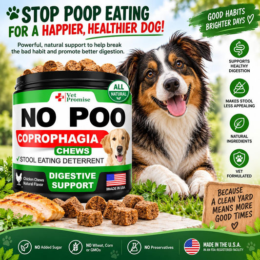 No Poo Chews for Dogs – Stool Eating Deterrent