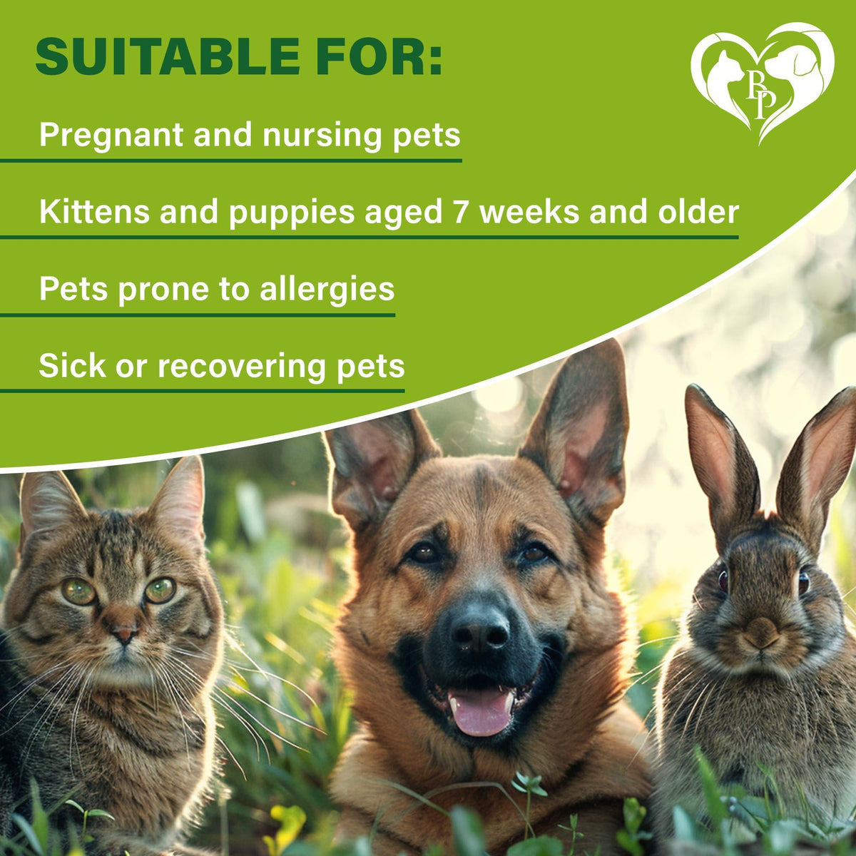 Natural Flea Tick Prevention for Cats & Dogs