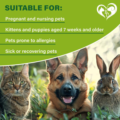 Natural Flea Tick Prevention for Cats & Dogs