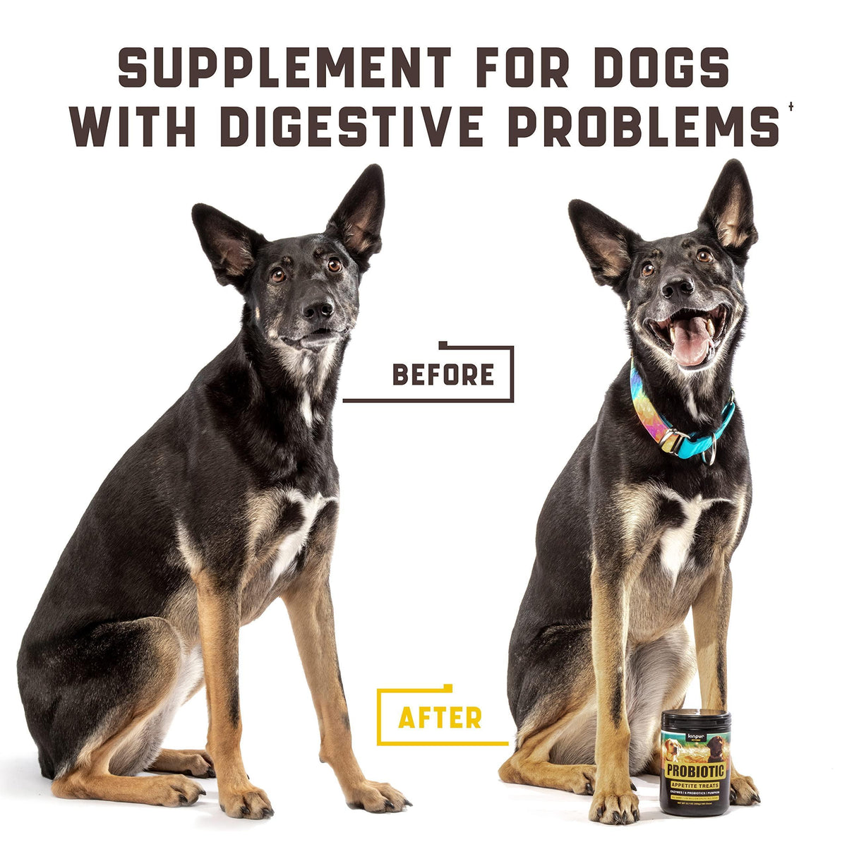 Green Lawn Chews for Healthy Dogs & Grass