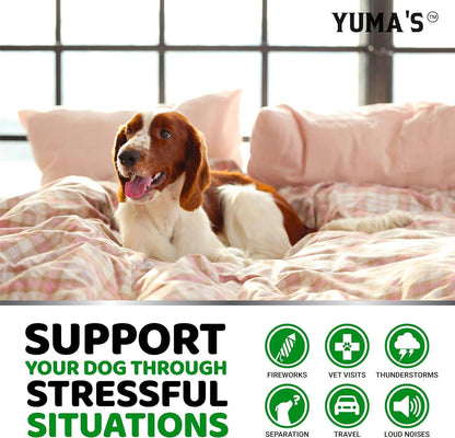 YUMA’S Hemp Calming Chews (2 Pack)