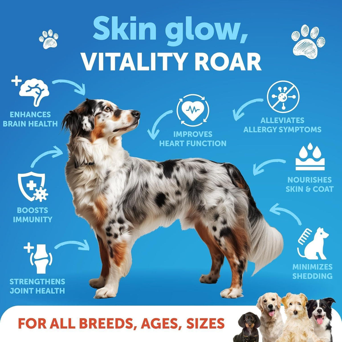 Wild Alaskan Salmon Oil for Dogs – Omega 3