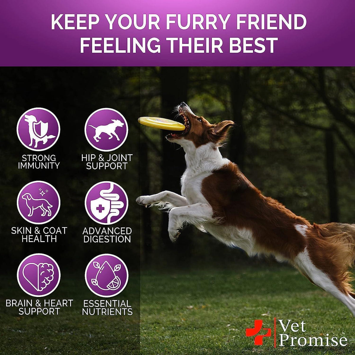 Senior & Puppy Dog Multivitamin Chews with Glucosamine