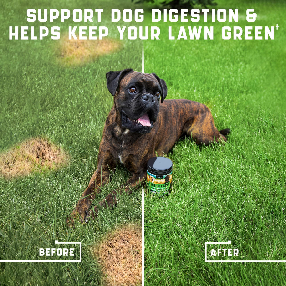 Green Lawn Chews for Dogs Urine Neutralizer