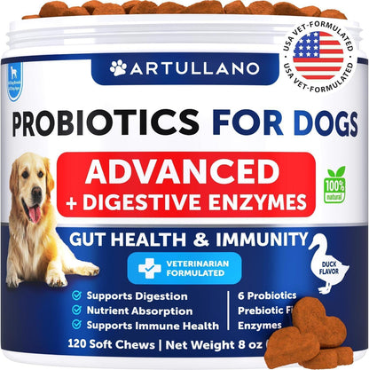Dog Probiotics for Gut Health & Immunity