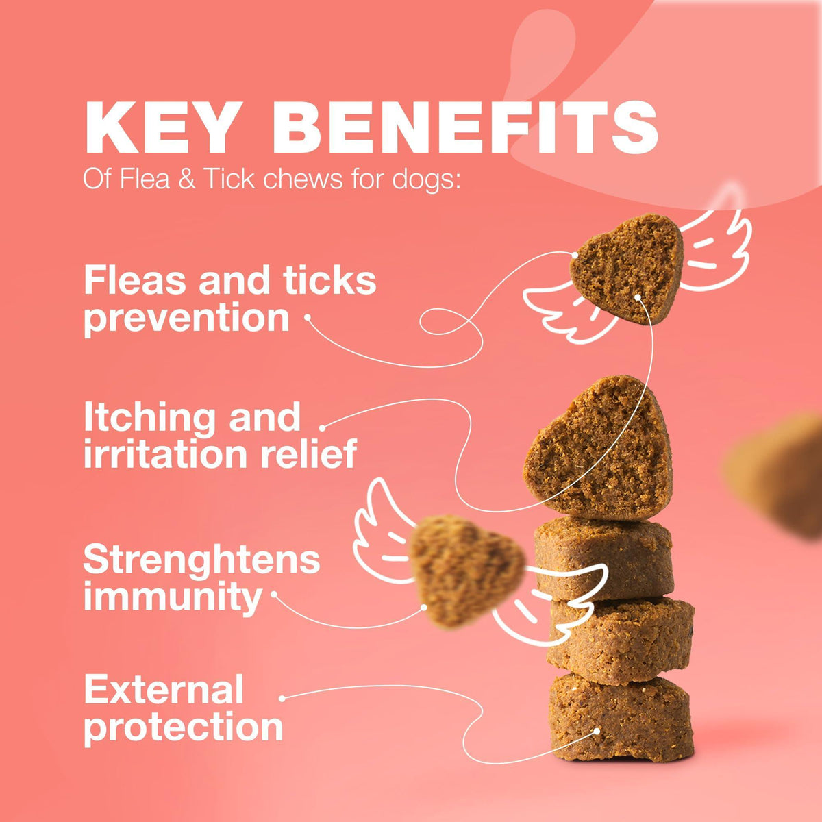 Natural Dog Flea & Tick Treatment Chews