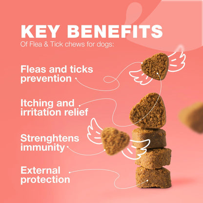 Natural Dog Flea & Tick Treatment Chews