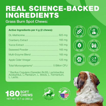 Grass Burn Spot Chews for Dogs – Lawn Saver