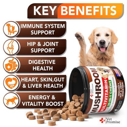 Turkey Tail Mushroom Supplement Chews for Dogs