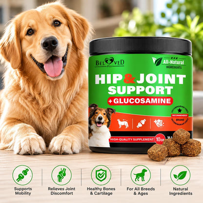 Dog Hip & Joint Supplements for Senior Dogs