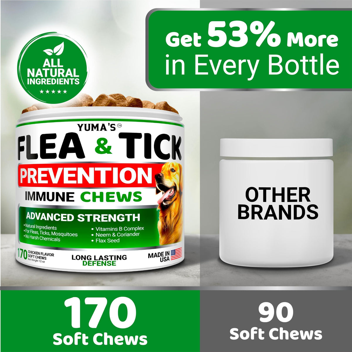 Natural Flea & Tick Chews for Dogs – 170 Treats