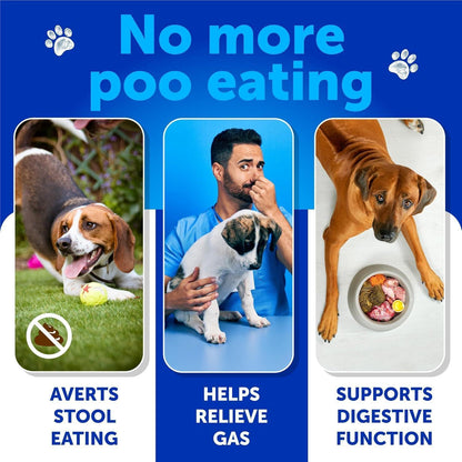 No Poo Chews for Dogs – Stop Stool Eating