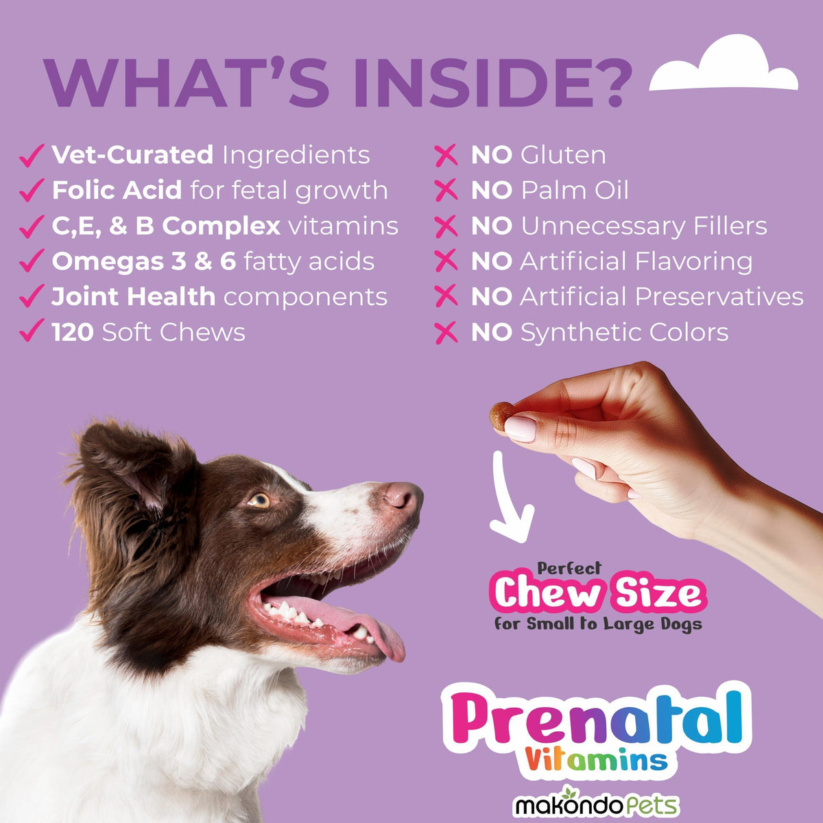 Dog Prenatal Vitamins for Pregnant Nursing Dogs