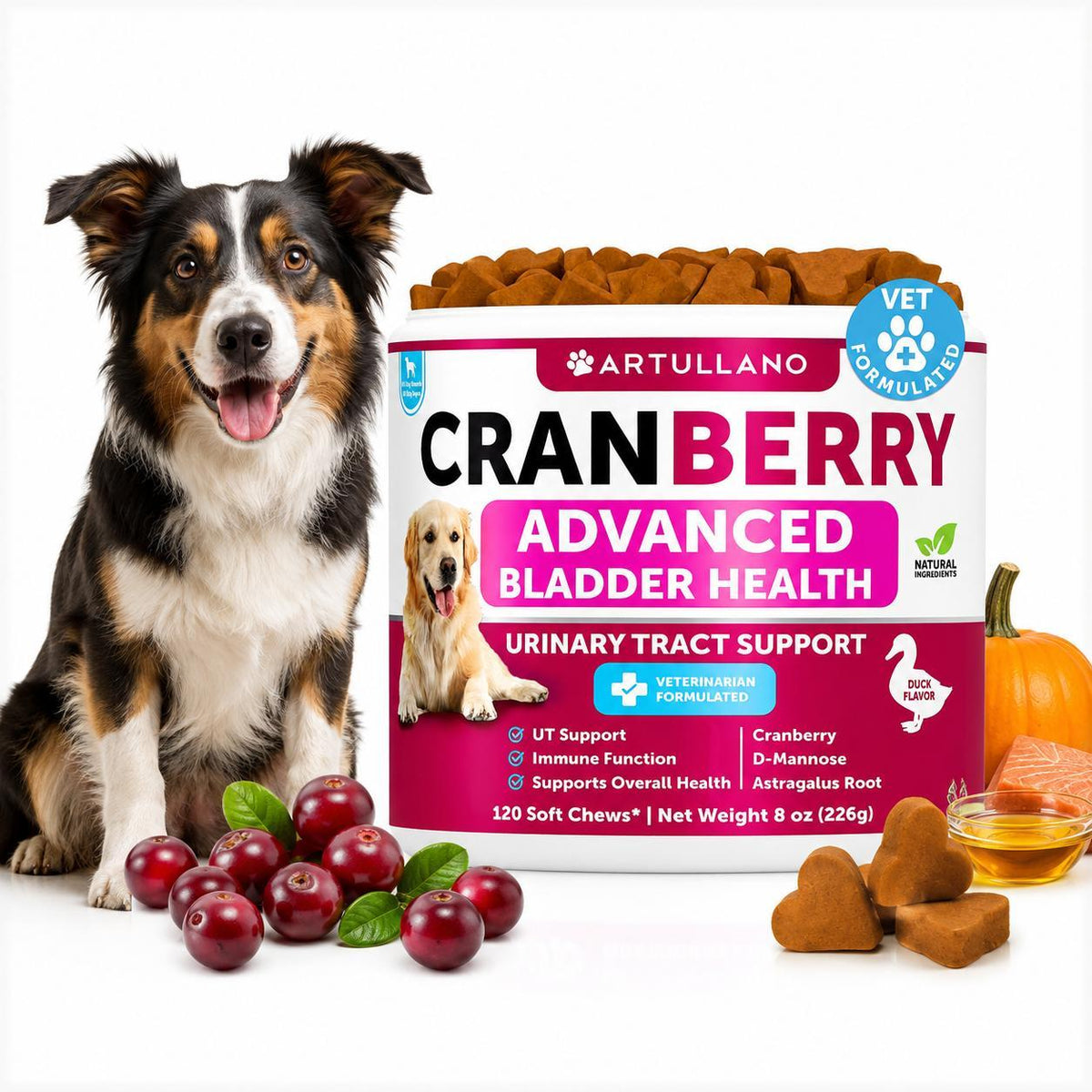(2 Pack) Dog Urinary Tract Cranberry Chews