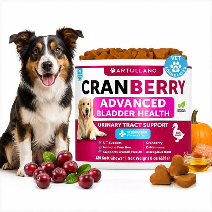 (2 Pack) Dog Urinary Tract Cranberry Chews