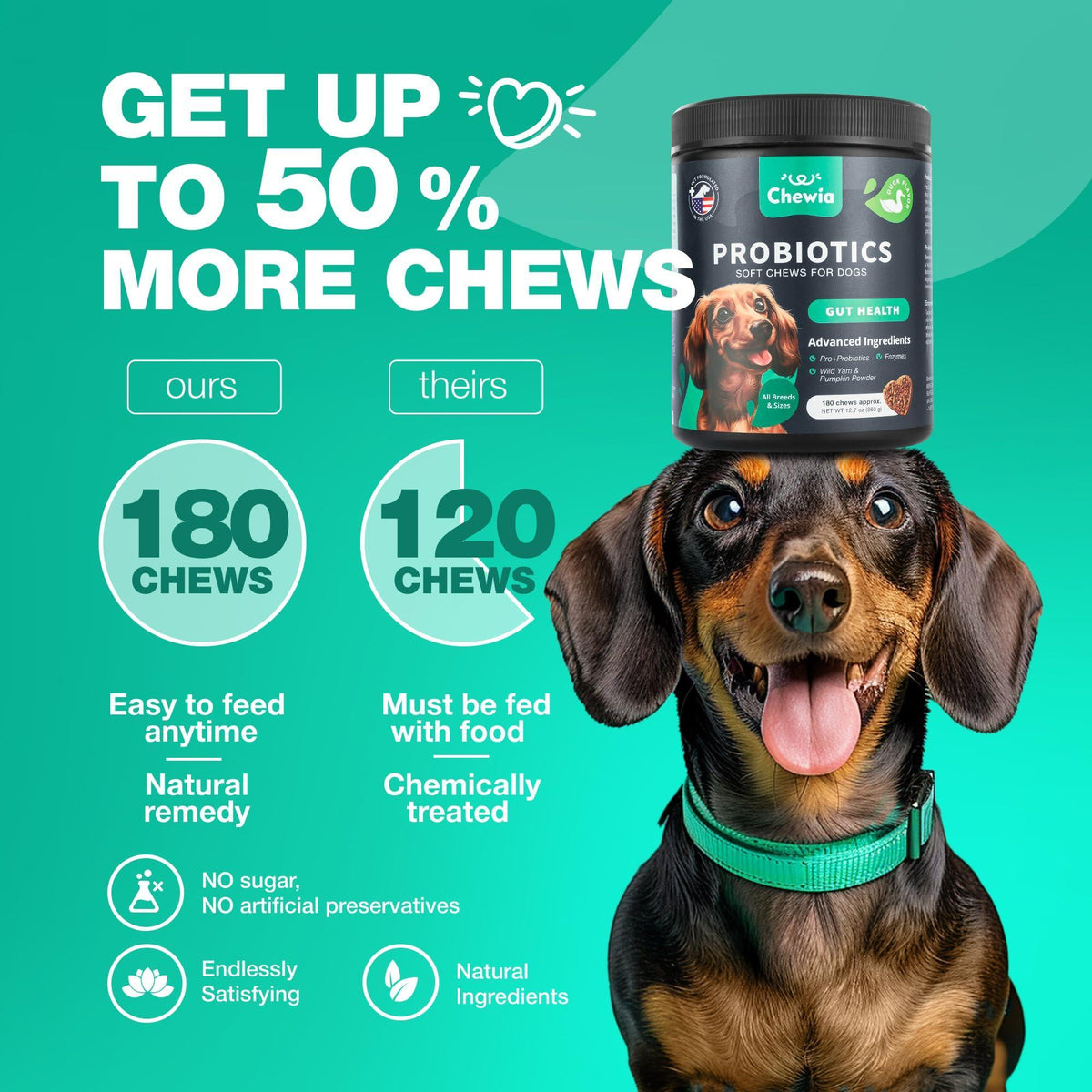 Dog Probiotic Chews for Gut Health & Digestion