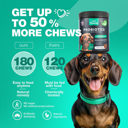 Dog Probiotic Chews for Gut Health & Digestion