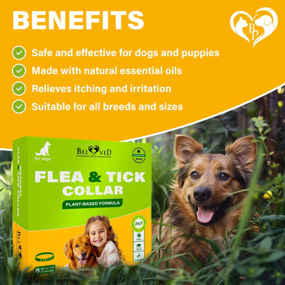 Natural Flea & Tick Collar for Dogs