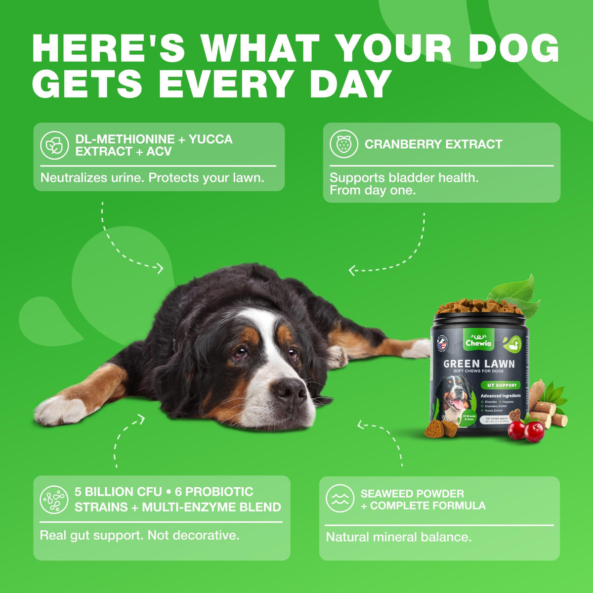 Grass Burn Spot Chews for Dogs – Lawn Saver