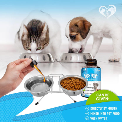 Kennel Cough Treatment for Dogs & Cats