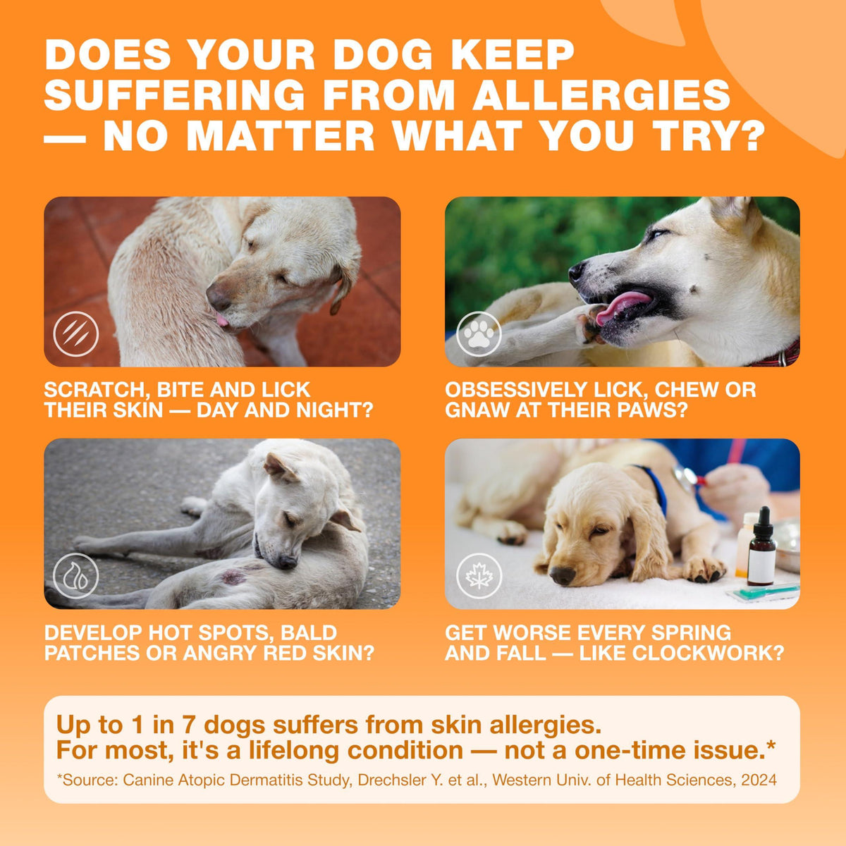 Dog Allergy Relief Chews for Itchy Skin