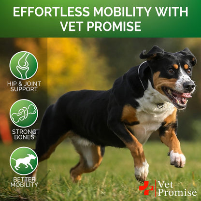 Glucosamine Joint Supplements for Dogs