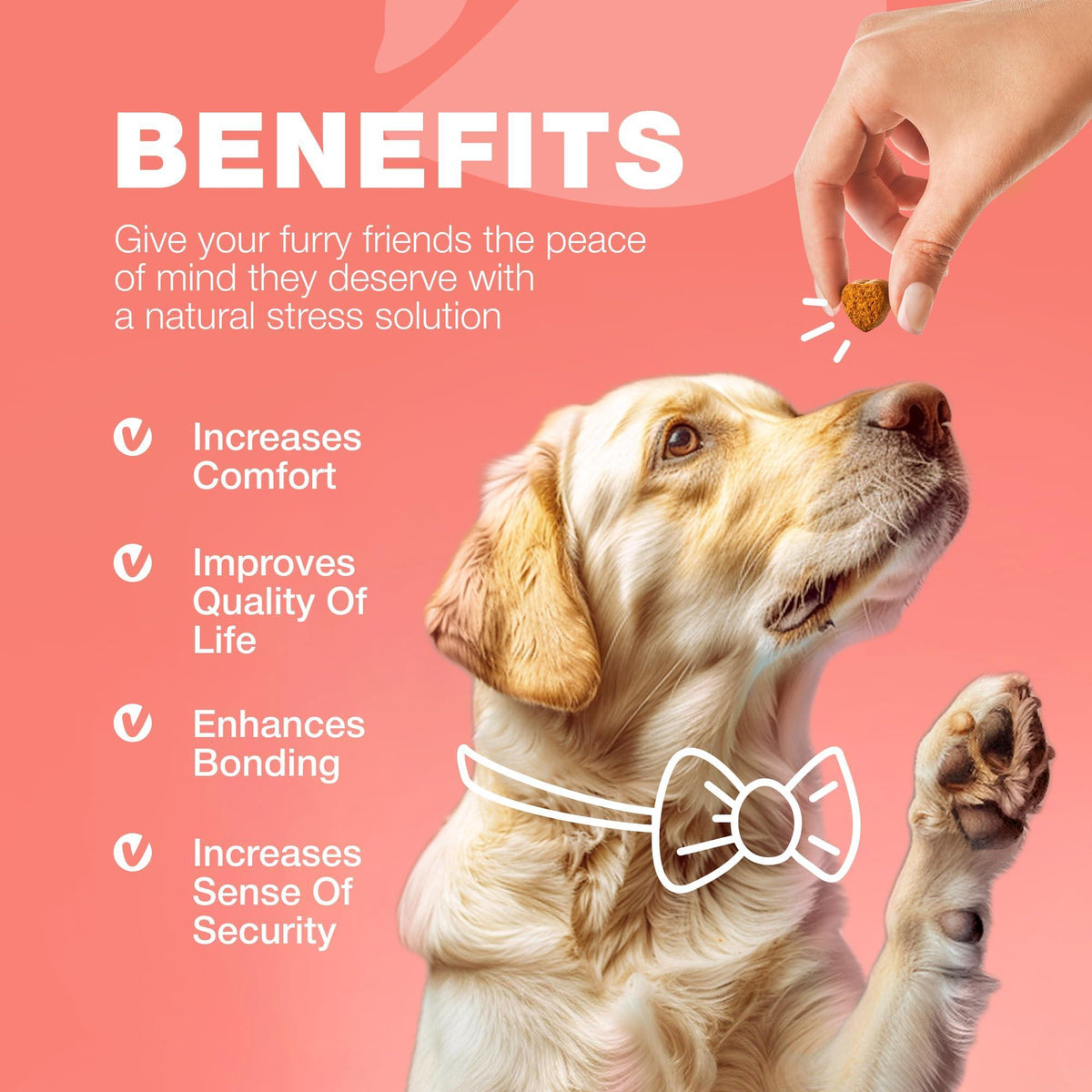 Natural Dog Flea & Tick Treatment Chews