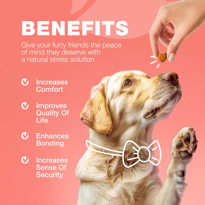Natural Dog Flea & Tick Treatment Chews