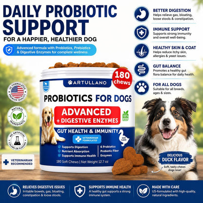 Dog Probiotics for Gut Health, Itchy Skin & Immunity